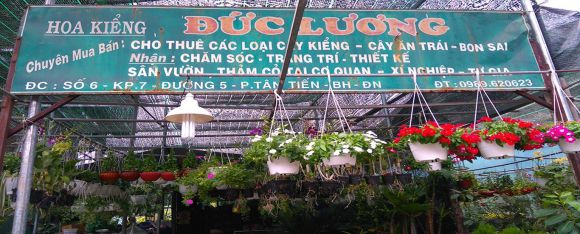 Hoa tươi
