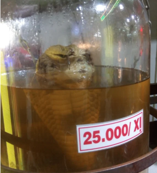Hầm rượu