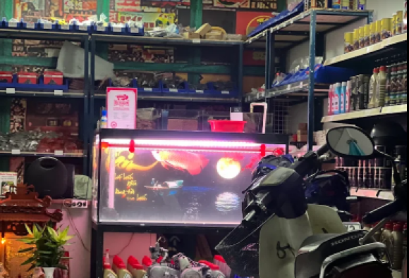 Ô tô - Xe máy - Garage