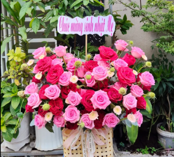 Hoa tươi