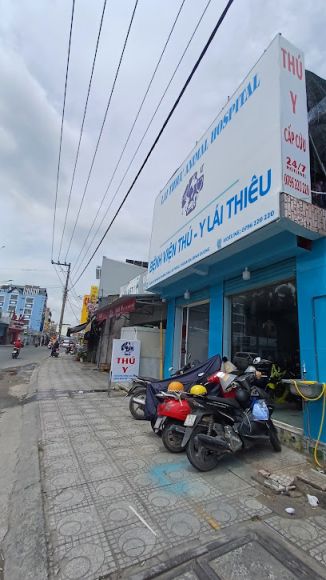 Phòng khám thú y