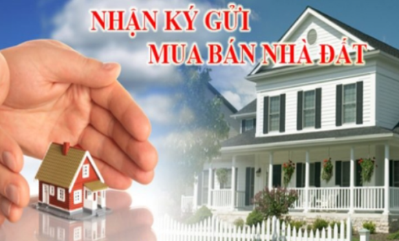 Bất động sản