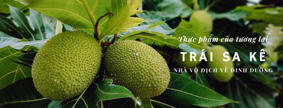 Thực phẩm sạch