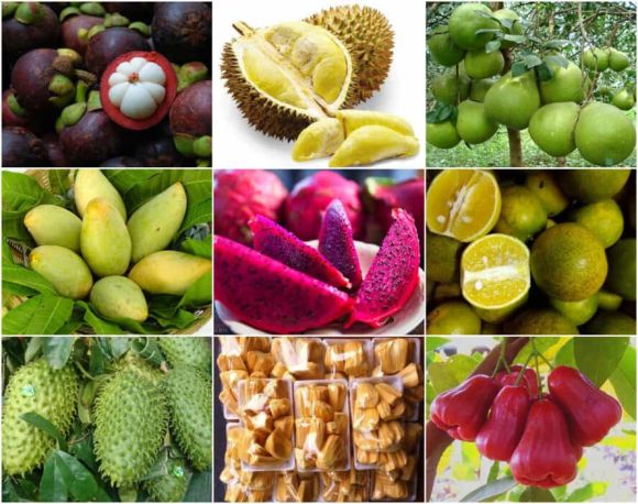 Quà tặng doanh nghiệp