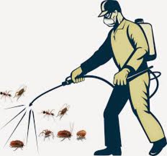 Dịch vụ vệ sinh - Vệ sinh công nghiệp