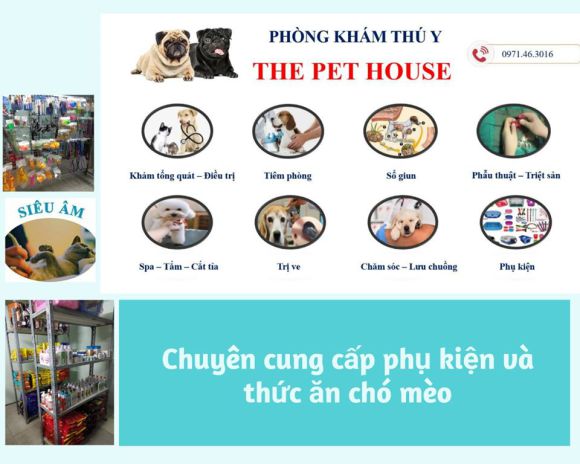 Thú cưng