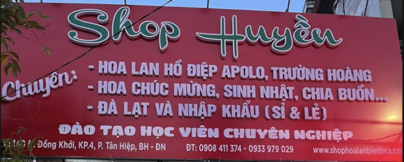 Hoa tươi