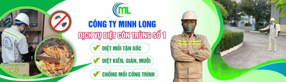 Dịch vụ vệ sinh - Vệ sinh công nghiệp