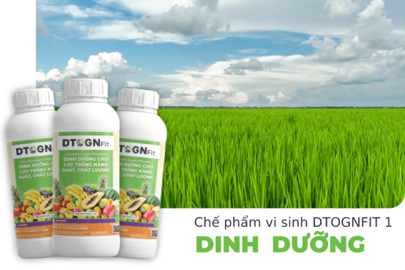 Dịch vụ vệ sinh - Vệ sinh công nghiệp