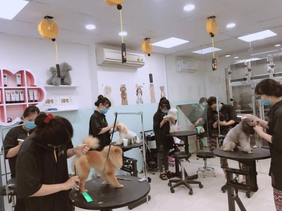 Top 3 Cửa Hàng Thú Cưng Đa Dạng, Chất Lượng, Giá Cả Hợp Lý Ở Thảo Điền, TP. Thủ Đức