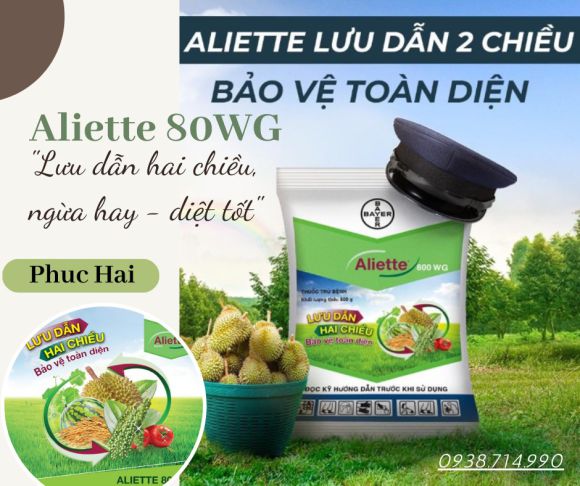 Thực phẩm sạch