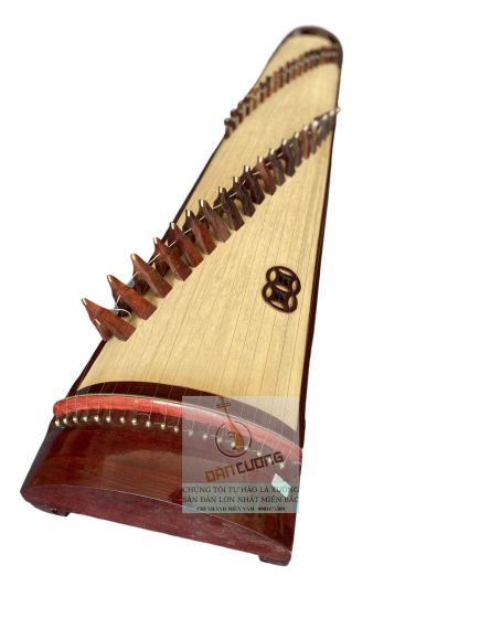 Nhạc cụ - Nhạc sống - Khoá học âm nhạc