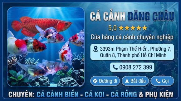 Bình Chánh