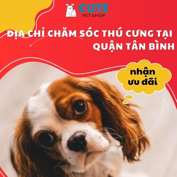 Thú cưng