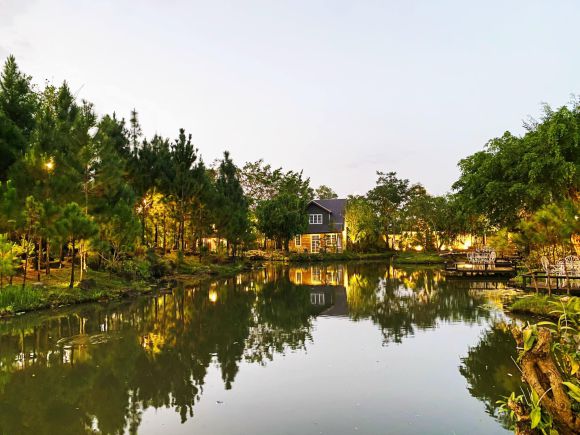 Giặt sấy