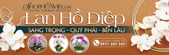 Hoa tươi