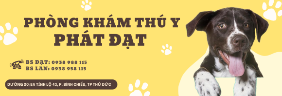 Phòng khám thú y
