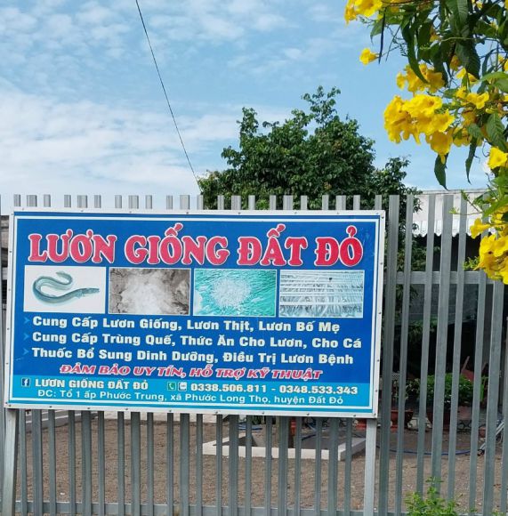 Ẩm thực