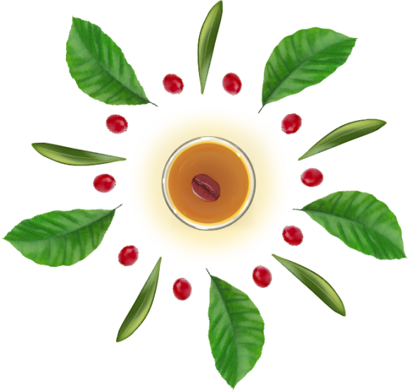 Cà phê - Trà sữa - Đồ uống