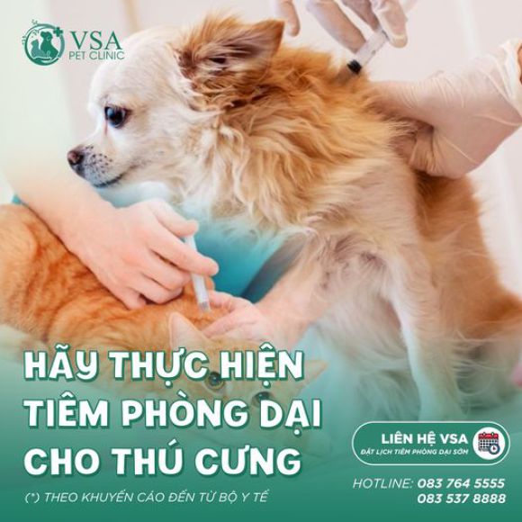 Thú cưng