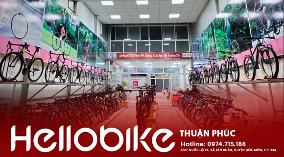 Thuê Xe Cưới TP.HCM: Lựa Chọn Hoàn Hảo Cho Ngày Trọng Đại