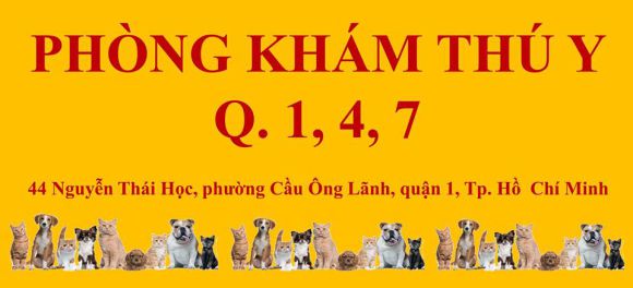 Phòng khám thú y