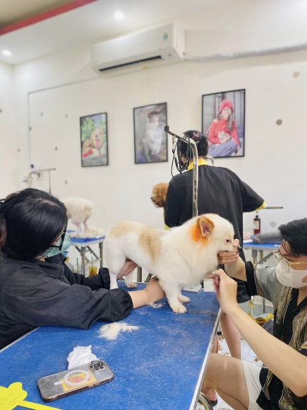 Thú cưng