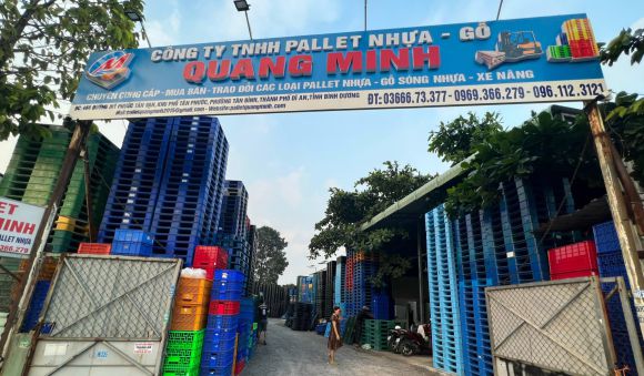 Sản xuất giấy, pallet
