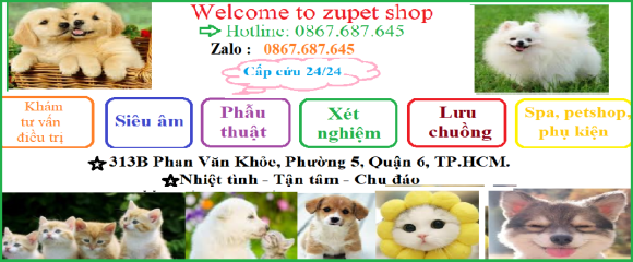 Phòng khám thú y