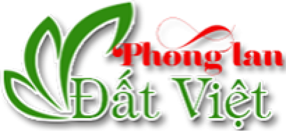 Hoa tươi