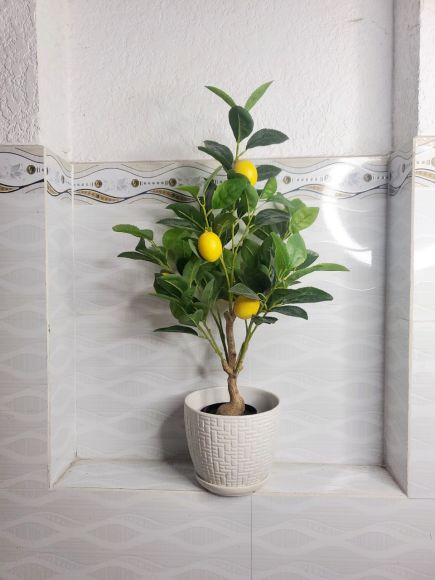 Nội thất - Thiết kế - Thi công