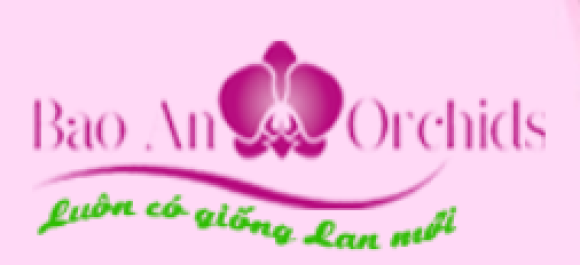 Hoa tươi