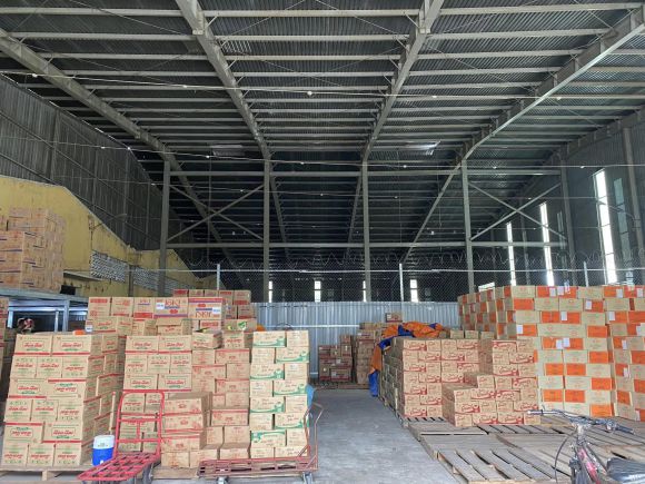 Trung Tâm Cát Tường - Chuyên Đào Tạo Xuất Nhập Khẩu và Logistics, Nâng Cao Năng Lực Chuyên Nghiệp