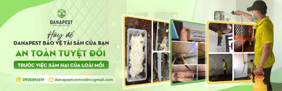 Dịch vụ vệ sinh - Vệ sinh công nghiệp