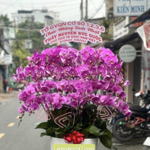 Hoa tươi