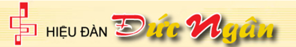 Nhạc cụ - Nhạc sống - Khoá học âm nhạc
