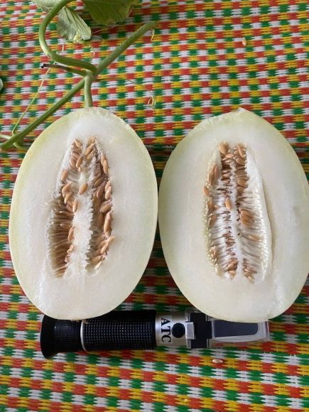 Nông trại Việt