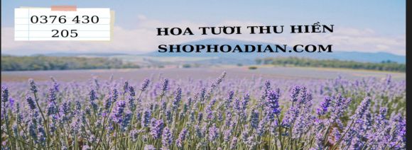 Hoa tươi