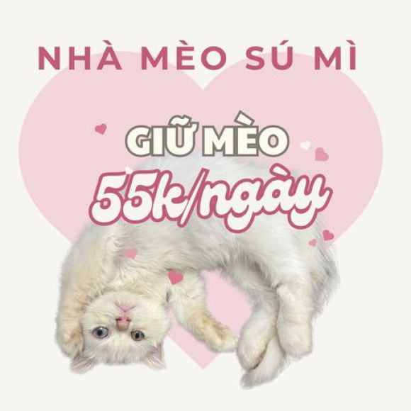 Phòng khám thú y