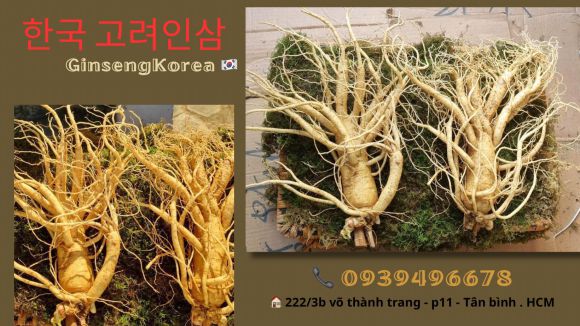 Quà tặng doanh nghiệp