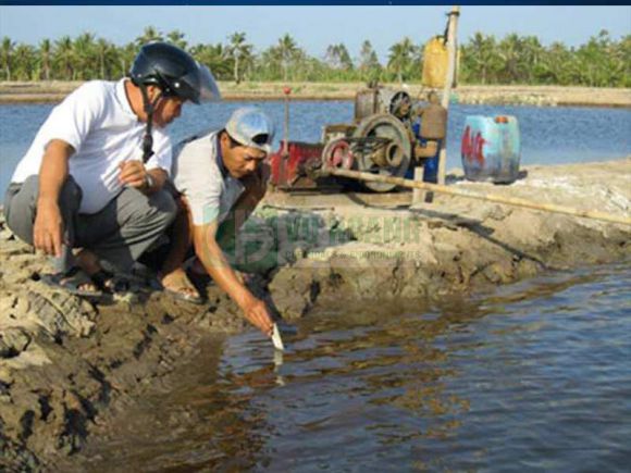 Dịch vụ vệ sinh - Vệ sinh công nghiệp