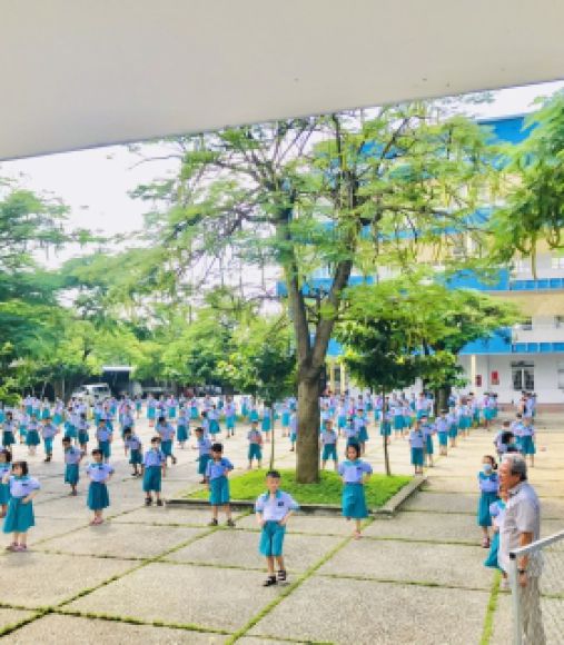 Mầm non