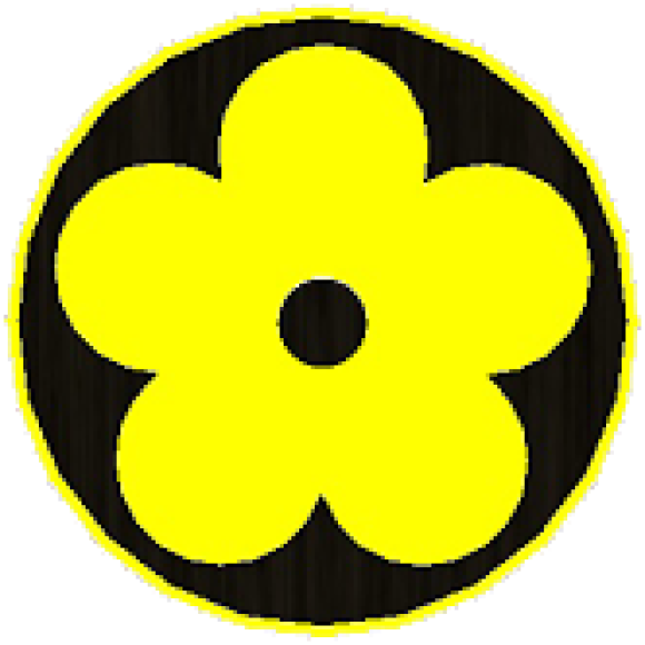 Sơn nước - Sơn gỗ