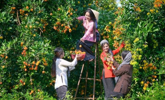 Du lịch - Tour du lịch