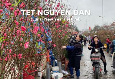 Traditional Festivals in Vietnam: A Celebration of Culture and Heritage