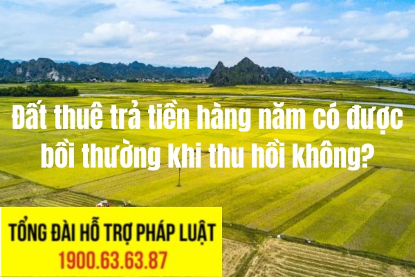 Công ty tư vấn đầu tư uy tín nhất Tphcm