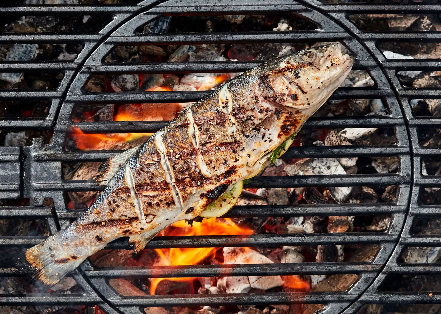 Top 3 Lý Do Bạn Nên Sử Dụng Than Tại CỬA HÀNG THAN PHÁT MINH