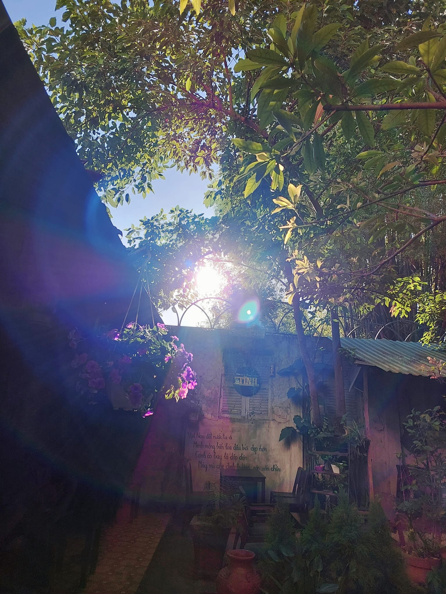 Tìm Về Tuổi Thơ: Chào Mừng Đến Tiệm Cà Phê Tĩnh - Không Gian Hồi Ức Thơ Mộng