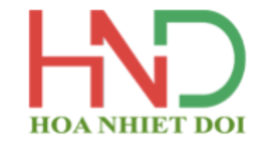 Top 3 Công Ty Cây Cảnh Uy Tín, Chất Lượng Tại TP.HCM Năm 2026