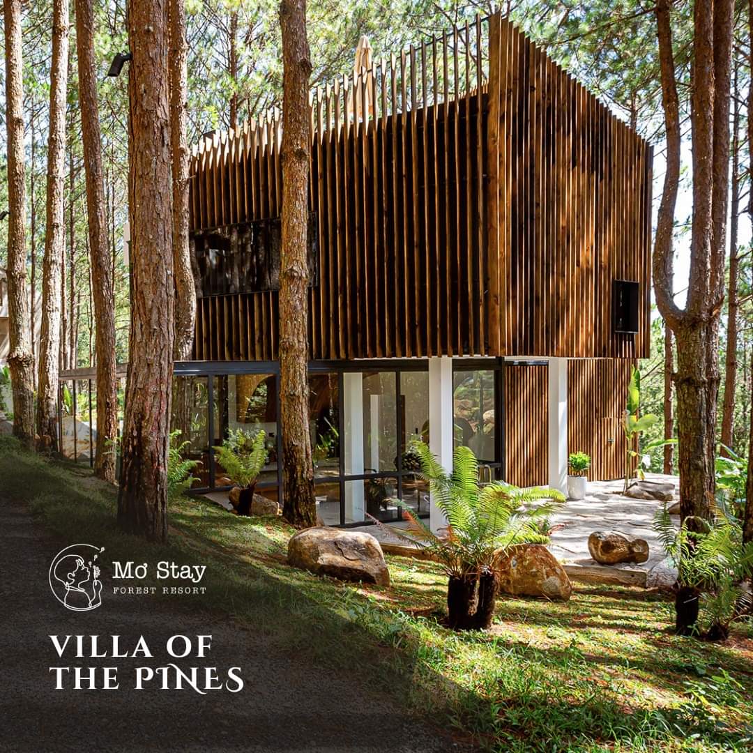 TOP 3 ĐƠN VỊ KINH DOANH SƠN LAU GỖ TẠI THỊ TRƯỜNG VIỆT NAM